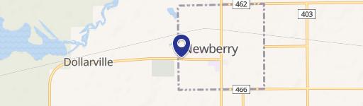 Newberry, MI 49868
