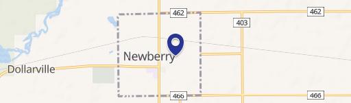 Newberry, MI 49868