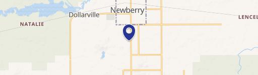 Newberry, MI 49868
