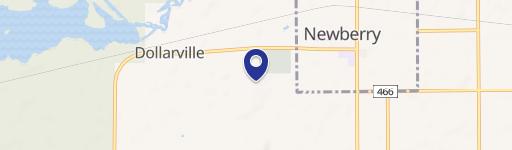 Newberry, MI 49868