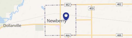 Newberry, MI 49868