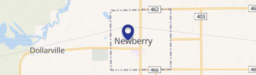 Newberry, MI 49868