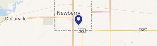 Newberry, MI 49868