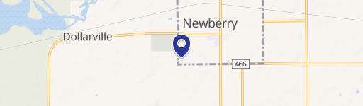 Newberry, MI 49868