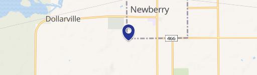 Newberry, MI 49868