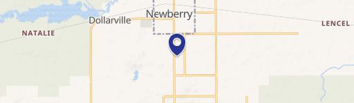 Newberry, MI 49868