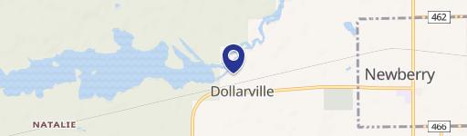 15584 Dnr Access Dollar Dm