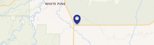 White Pine, MI 49971