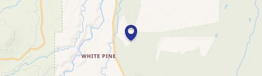 White Pine, MI 49971