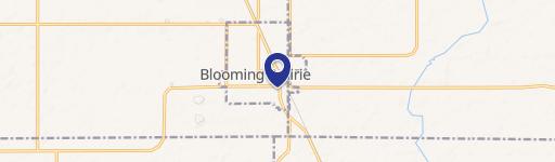Blooming Prairie, MN 55917