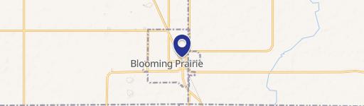 Blooming Prairie, MN 55917