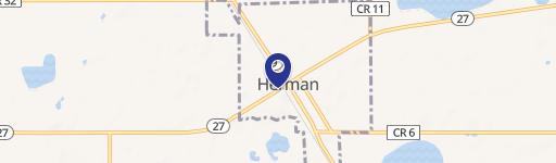 Herman, MN 56248