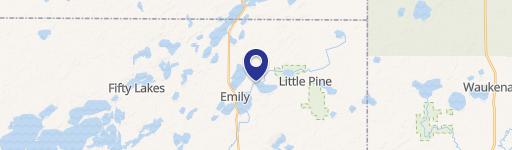 Emily, MN 56447