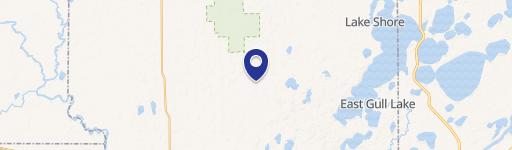 Pillager, MN 56473