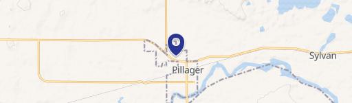 Pillager, MN 56473