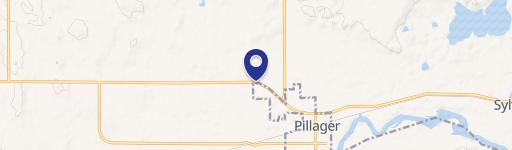 Pillager, MN 56473