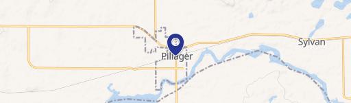 Pillager, MN 56473