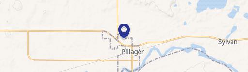 Pillager, MN 56473