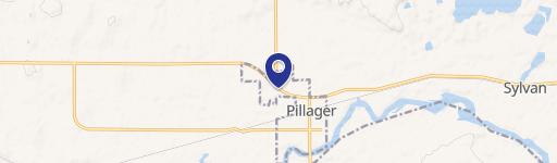 Pillager, MN 56473