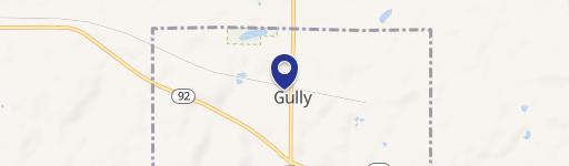 Gully, MN 56646