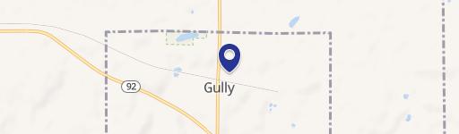 Gully, MN 56646