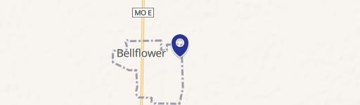 Bellflower, MO 63333