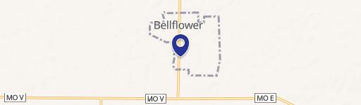 Bellflower, MO 63333