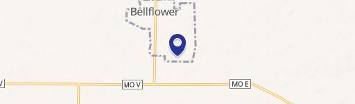 Livingston At S Madison St