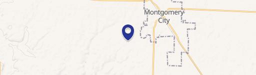 Montgomery City, MO 63361