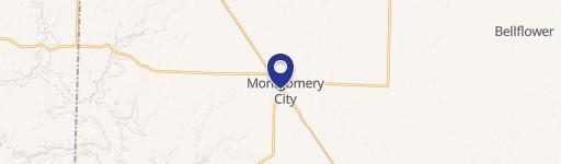 Montgomery City, MO 63361