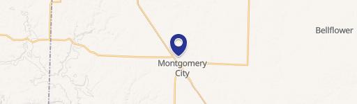 Montgomery City, MO 63361