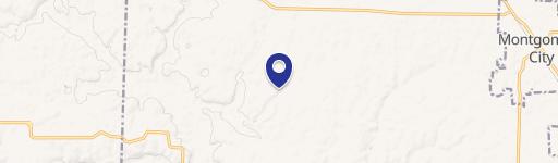 Montgomery City, MO 63361
