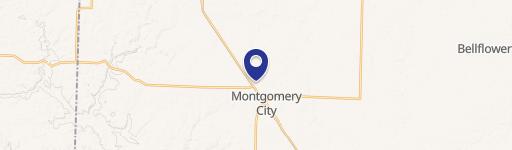 Montgomery City, MO 63361