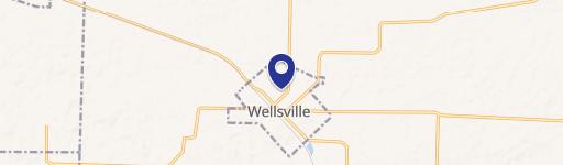 Wellsville, MO 63384