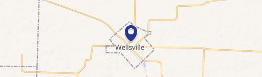 Wellsville, MO 63384