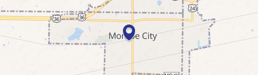 Monroe City, MO 63456