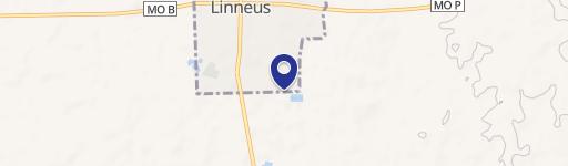 Linneus, MO 64653