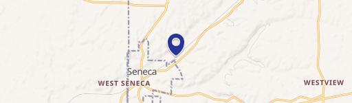 Seneca, MO 64865