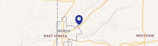 Seneca, MO 64865