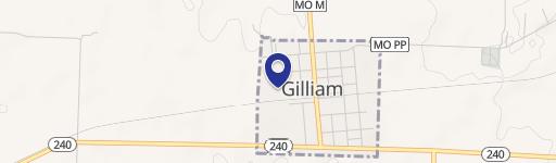 Gilliam, MO 65330