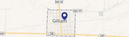 Gilliam, MO 65330
