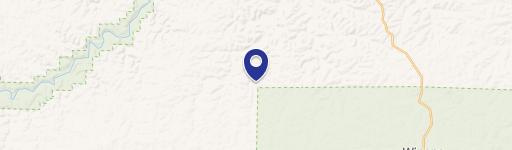 Birch Tree, MO 65438