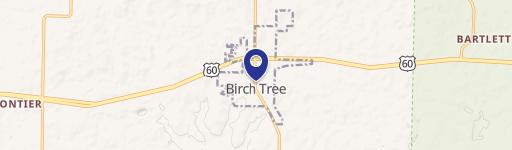 Birch Tree, MO 65438