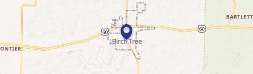 Birch Tree, MO 65438