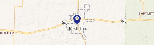 Birch Tree, MO 65438