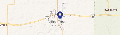 Birch Tree, MO 65438