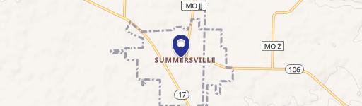 Rogers St Summersville