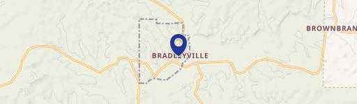 Bradleyville, MO 65614