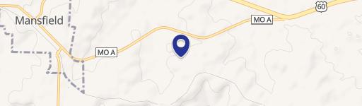 Mansfield, MO 65704