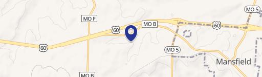 Mansfield, MO 65704